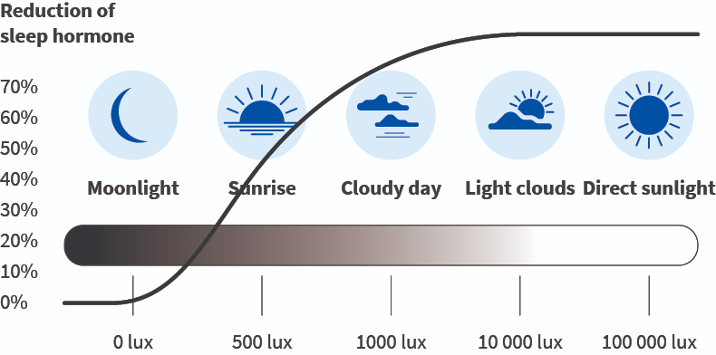 Daylight in online lumens